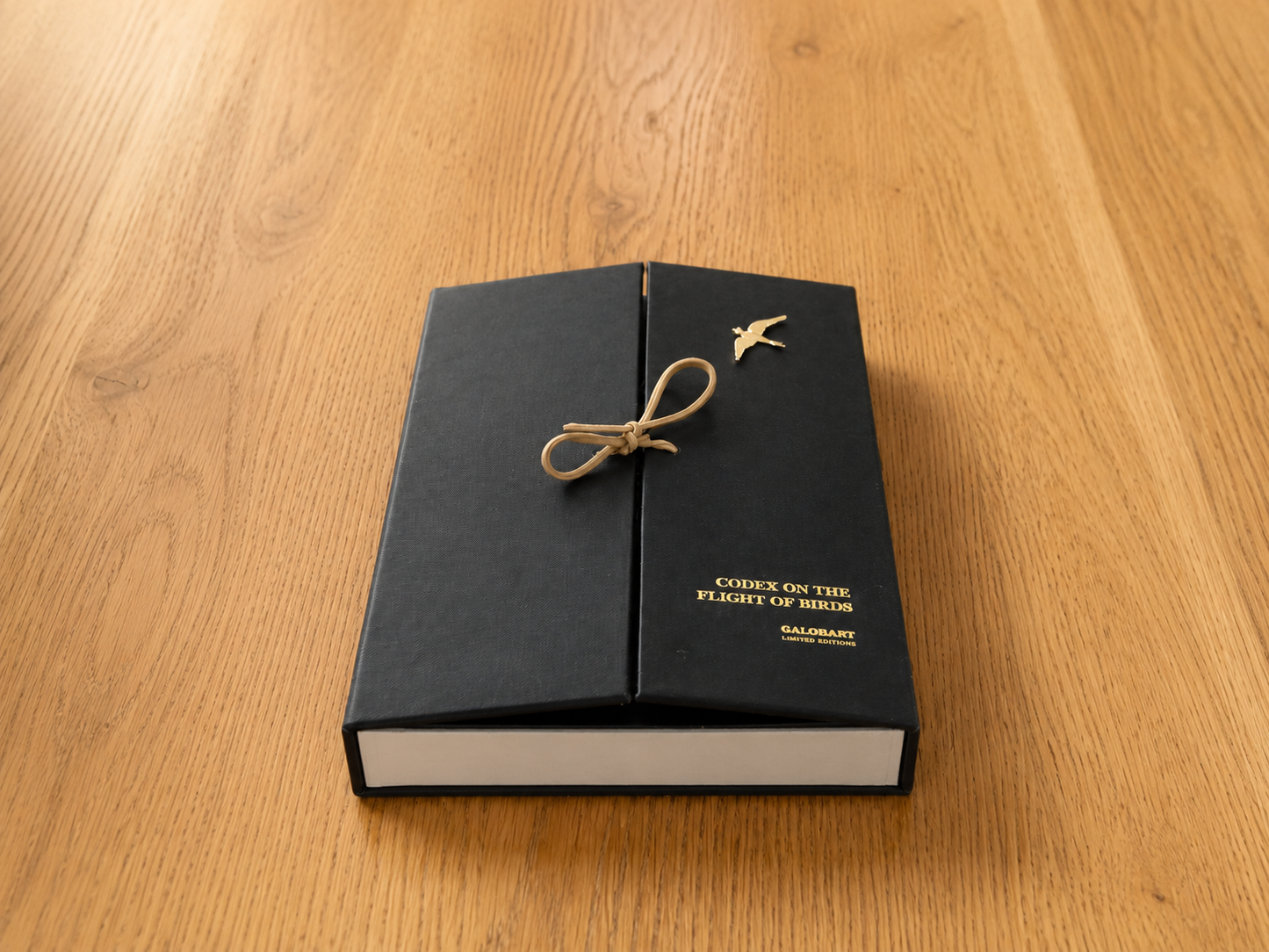Codex On The Flight Of Birds