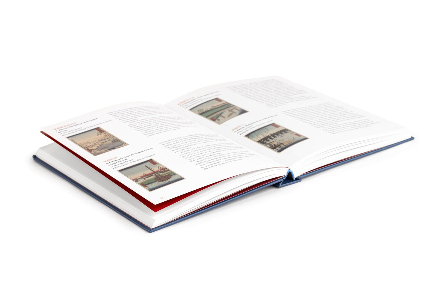 The New Japan Art Collection