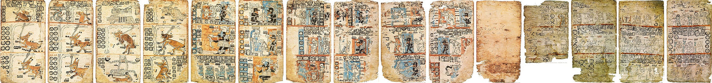 The Tro-Cortesian Codex
