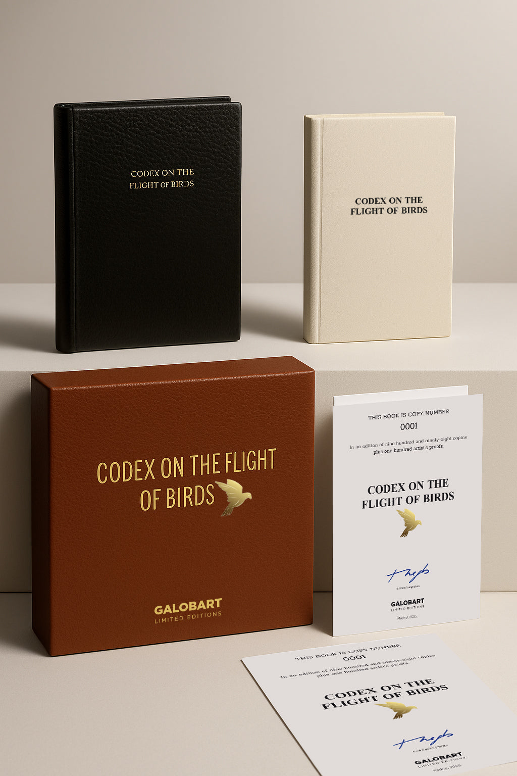 Codex On The Flights Of Birds