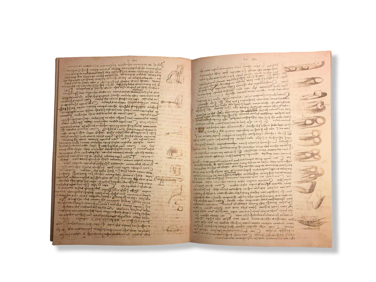 Codex Leicester