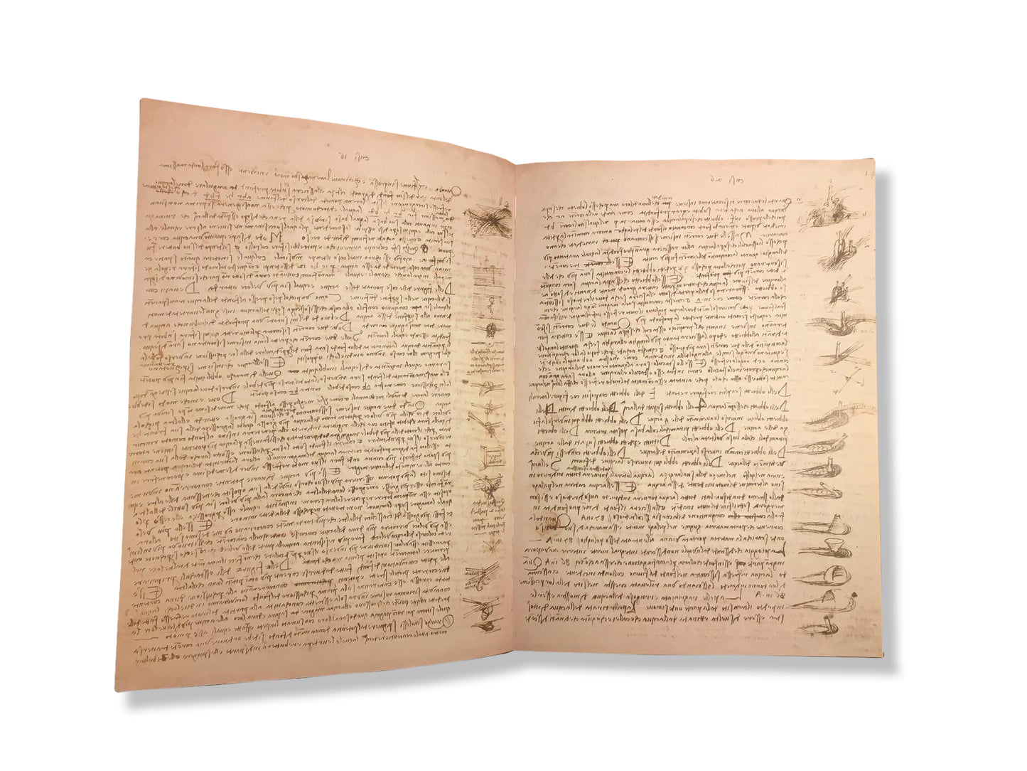 Codex Leicester