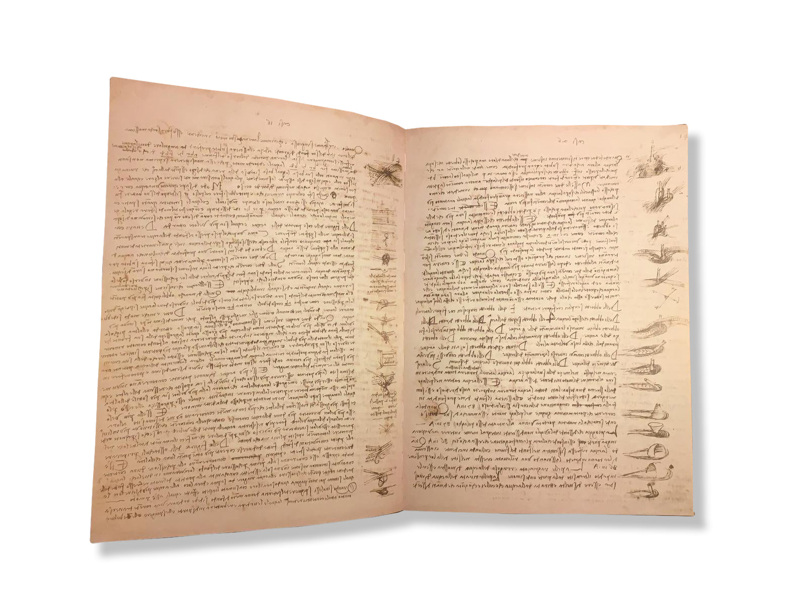 Codex Leicester