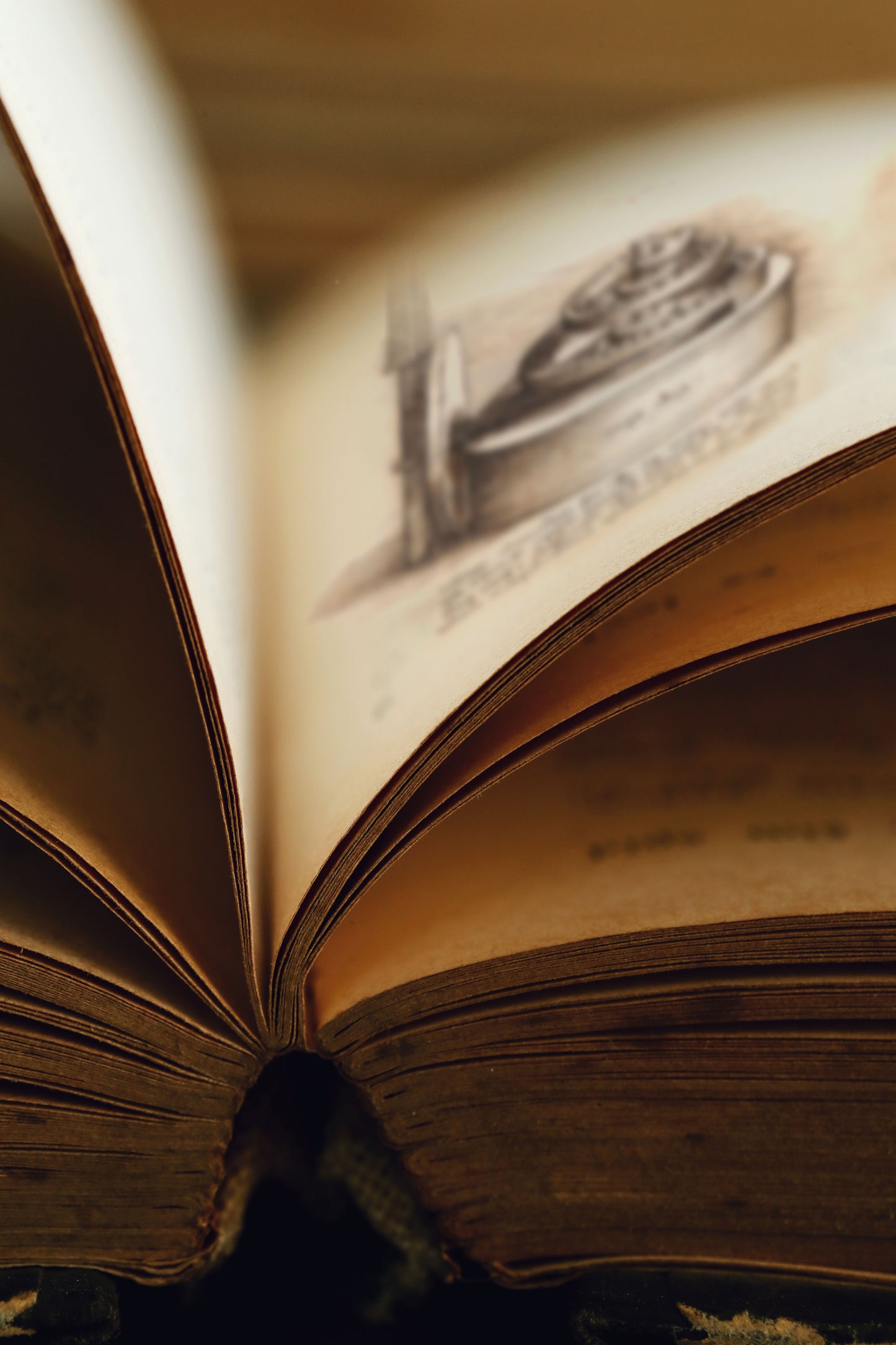 Codex Madrid I (Leonardo Da Vinci)