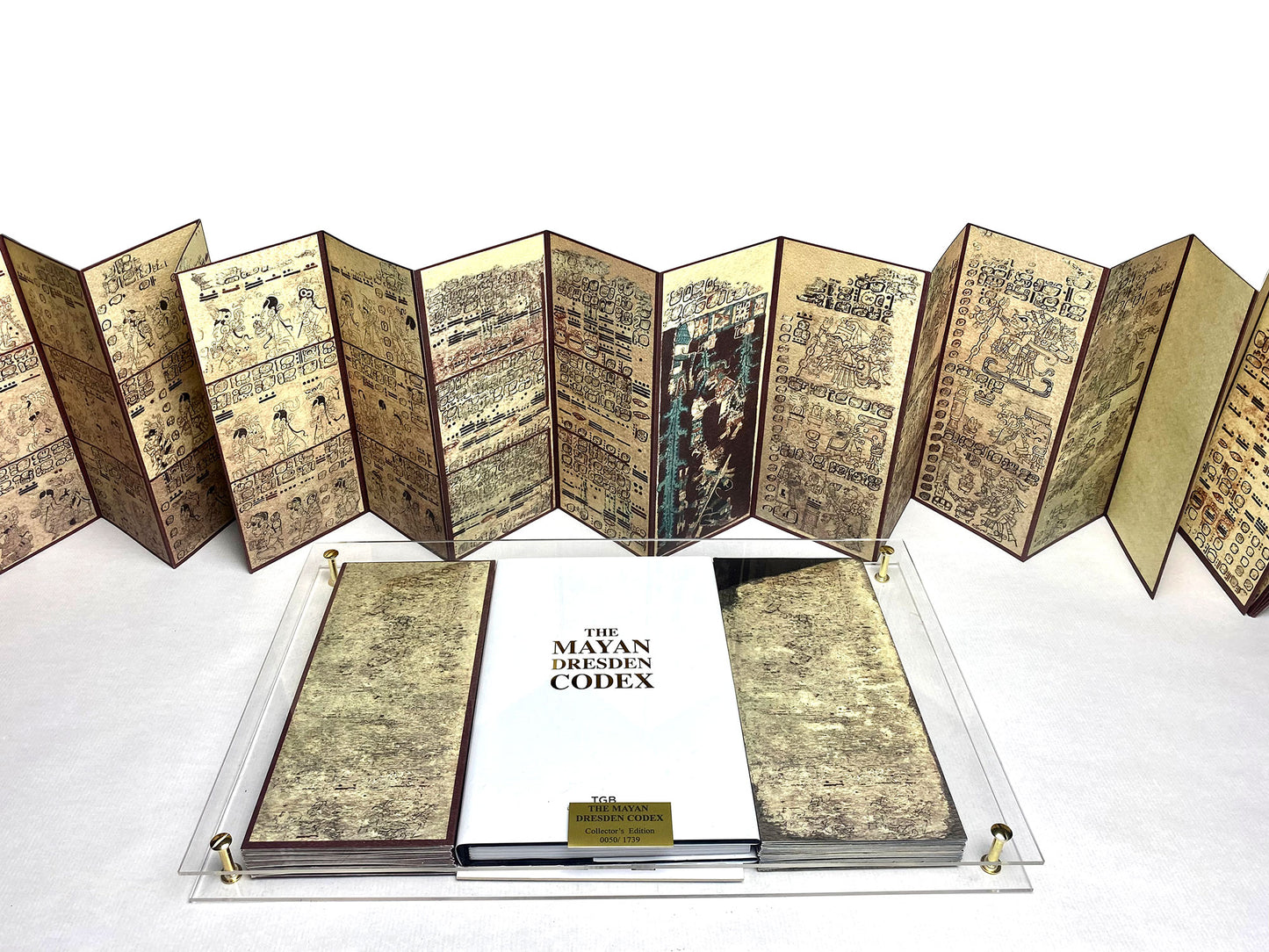The Mayan Dresden Codex