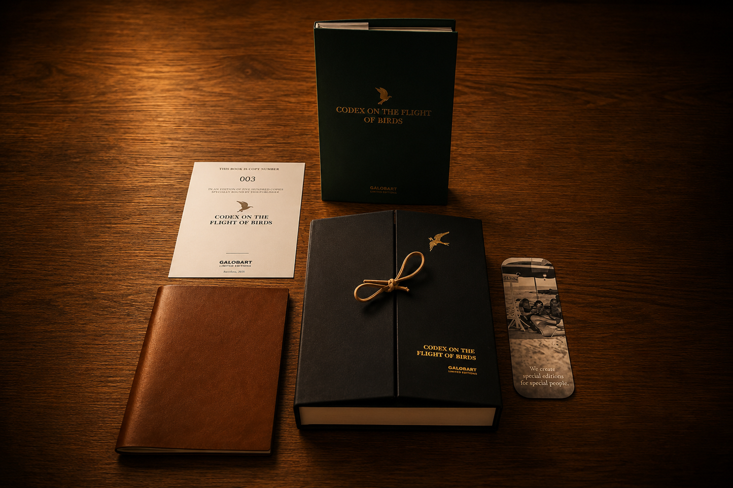 Codex On The Flight Of Birds
