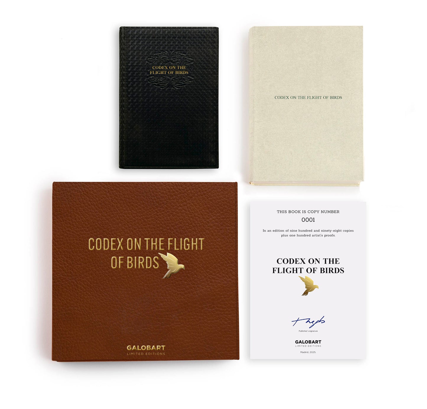 Codex On The Flights Of Birds