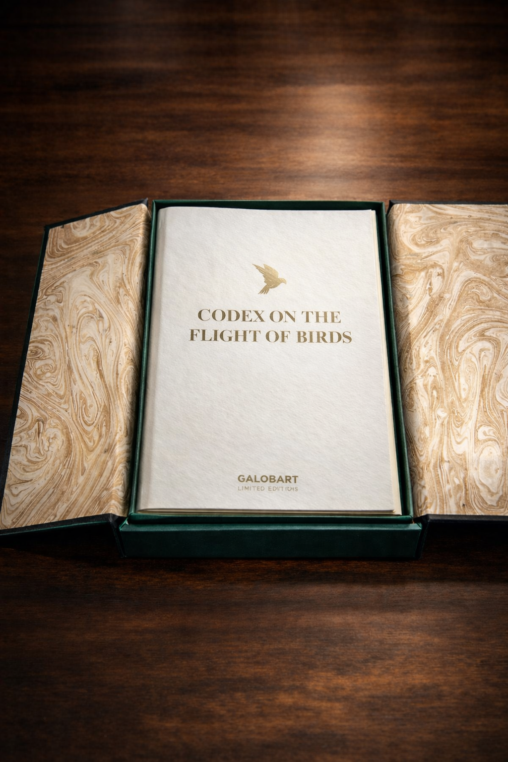 Leonardo da Vinci Codex on the Flight of Birds facsimile edition book inside green luxury presentation case