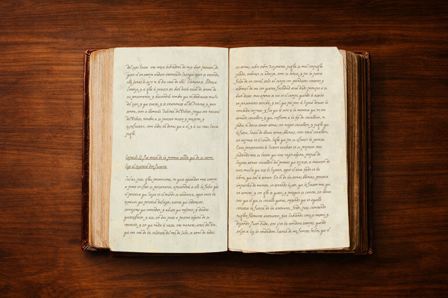The Original Manuscript of Don Quixote – Collector’s Edition