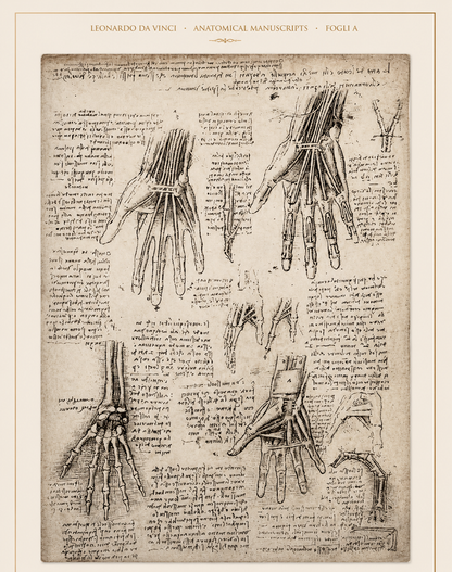 Leonardo da Vinci — Anatomical Manuscripts · Fogli A