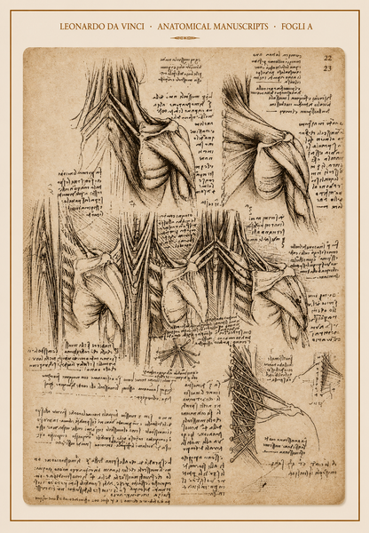 Leonardo da Vinci — Anatomical Manuscripts · Fogli A