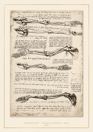 Leonardo da Vinci — Anatomical Manuscripts · Fogli A
