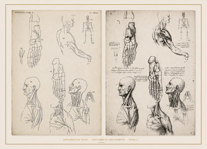 Leonardo da Vinci — Anatomical Manuscripts · Fogli A