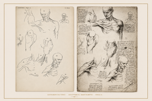 Leonardo da Vinci — Anatomical Manuscripts · Fogli A