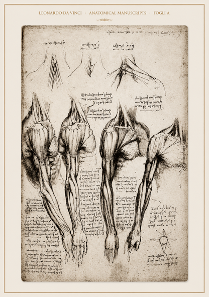 Leonardo da Vinci — Anatomical Manuscripts · Fogli A