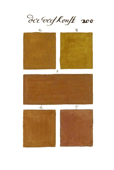 Grid of brown hand-painted color swatches from the historical color sample book 300 Years Before Color