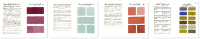 300 Years Before Color - The New Edition