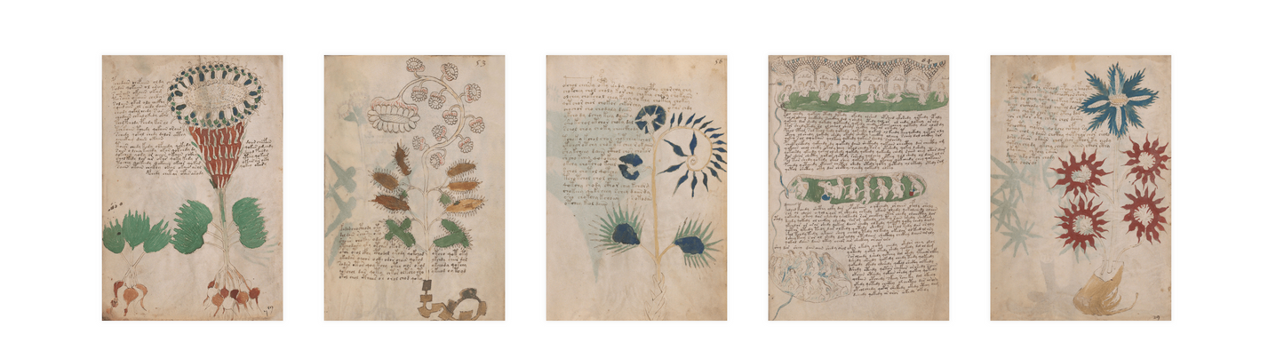 The Never Deciphered Story