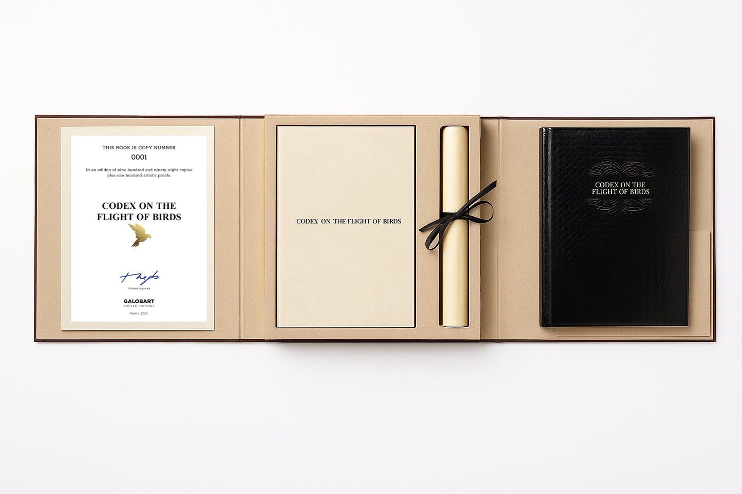 Codex On The Flights Of Birds