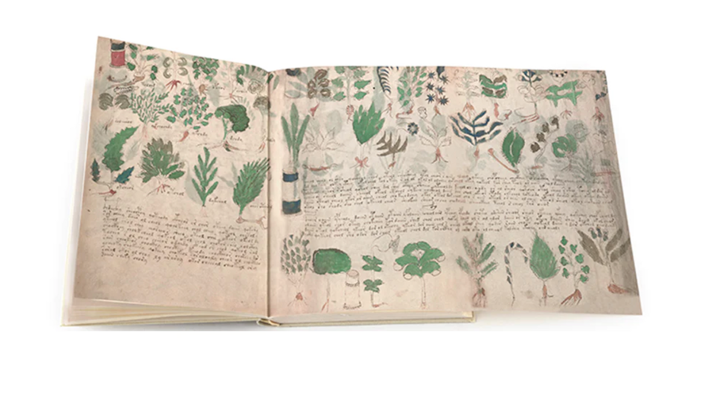 Voynich Manuscript — Facsimile Edition