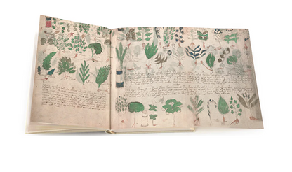 Voynich Manuscript — Facsimile Edition