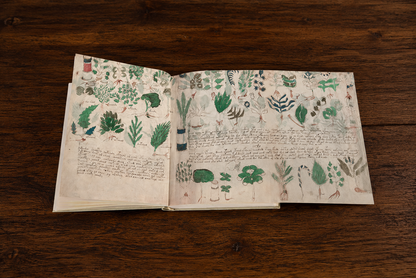 The Voynich Manuscript XXL