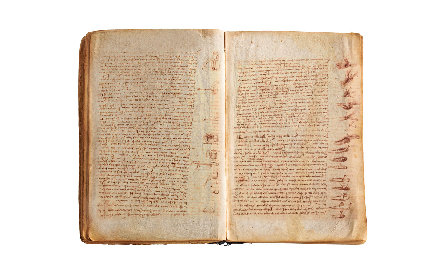 Codex Leicester (Leonardo Da Vinci)