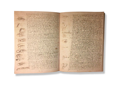 Codex Leicester (Leonardo Da Vinci)