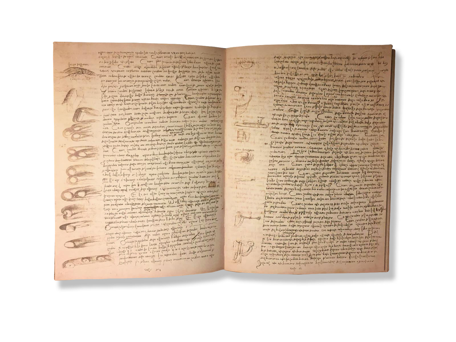 Codex Leicester – Leonardo da Vinci Notebook | Most Expensive Book