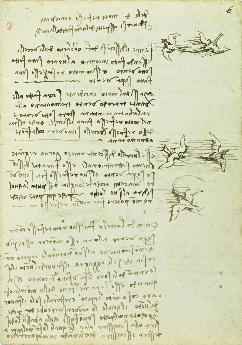 Codex On The Flights Of Birds