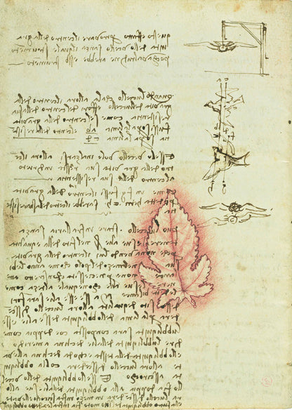 Codex On The Flights Of Birds