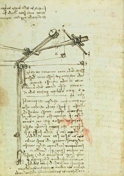 Codex On The Flights Of Birds