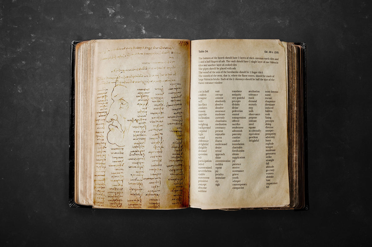 Leonardo da Vinci Codex Trivulzianus facsimile open book showing handwritten notes and illustrations
